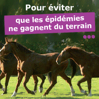 detenteur_lieu_de_detention_d_equides
